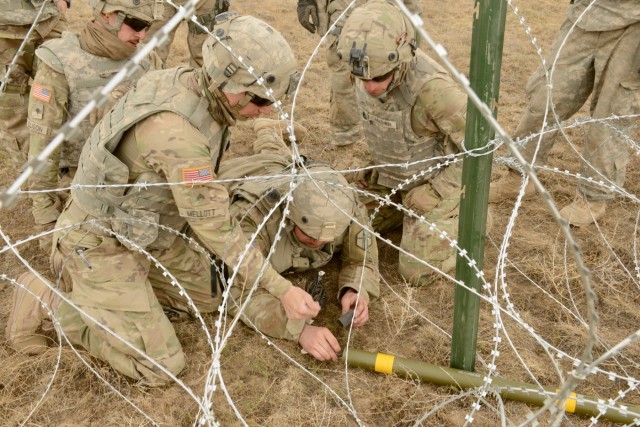 National Guard, Army Reserve combat engineers clear obstacles, build interoperability