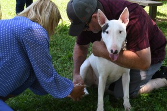 general patton bull terrier