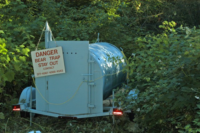 Bear Trap