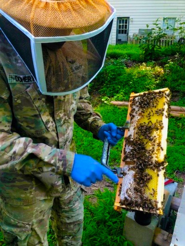 "Bee" cause team work helps soldiers