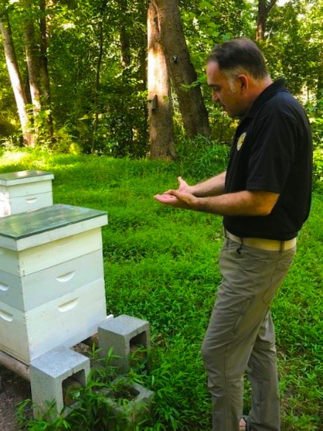 "Bee" cause team work helps soldiers