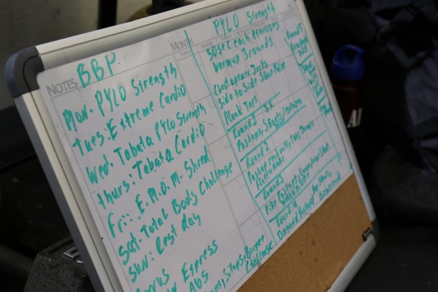 The program outline