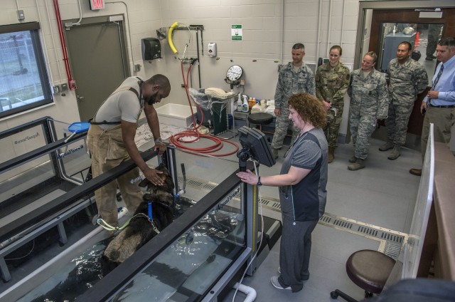 Military Working Dog care even better with opening of rehab facility and recovery kennels