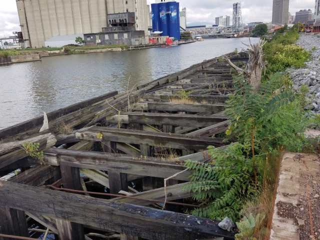 Before picture of USACE project site along Buffalo River