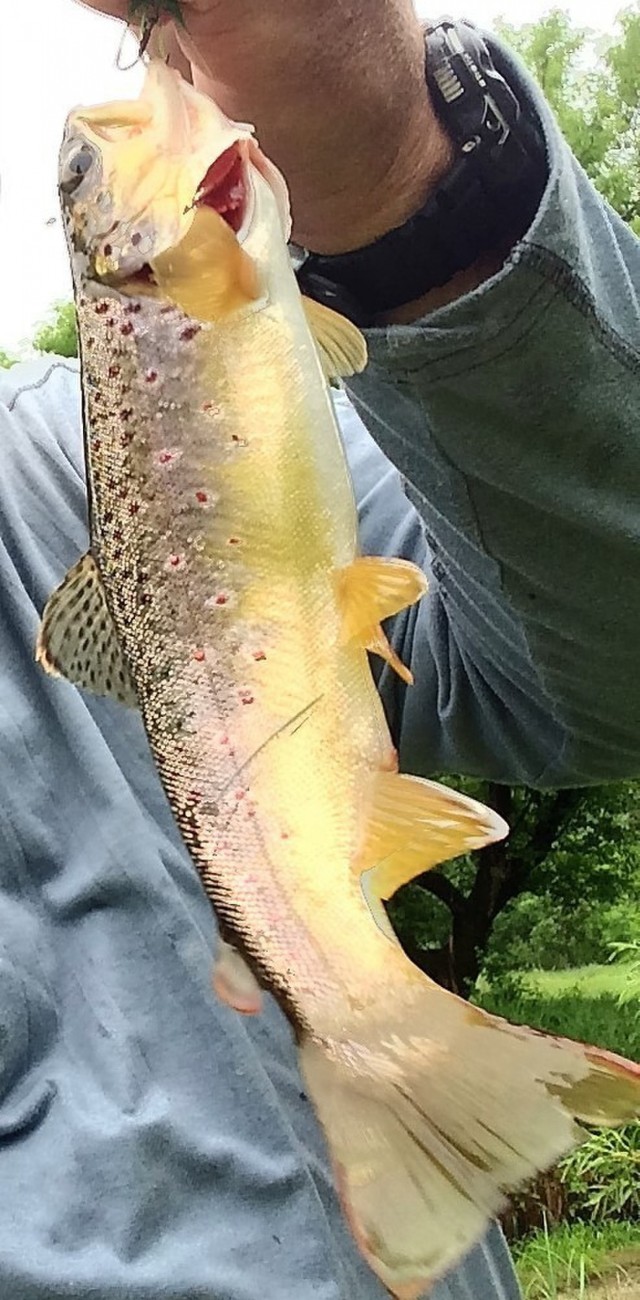 Continued improvements to fishing habitat planned at Fort McCoy