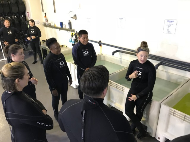 Instructor