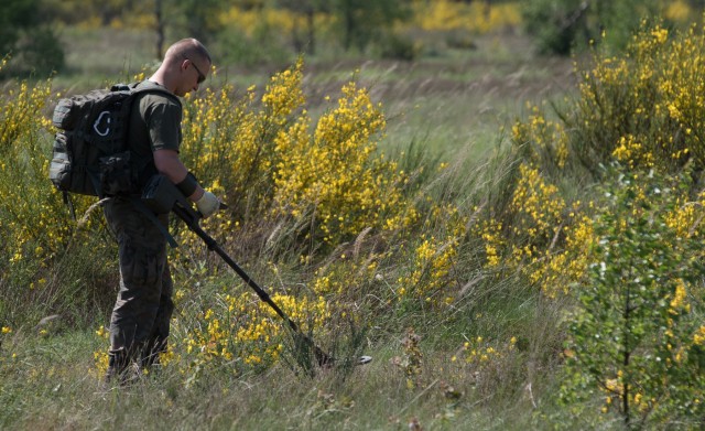 Polish, US Engineers clear a path for training in Poland