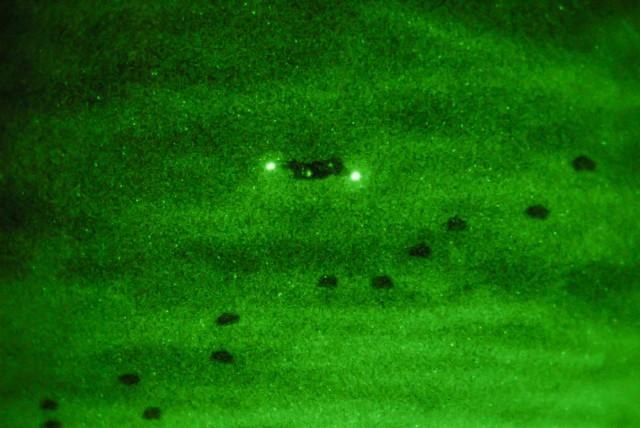 82nd Airborne Division holds readiness exercise