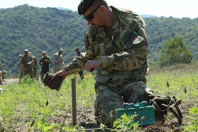 3-61 CAV hosts International Ranger Assessment, Kosovo