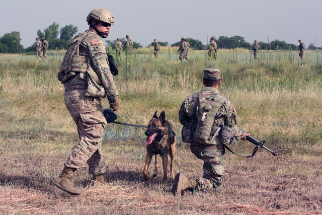 MWD1