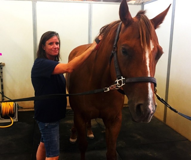 Riding Equines to Achieve Confidence and Health (REACH) Therapeutic Riding Center: A safe haven for veterans
