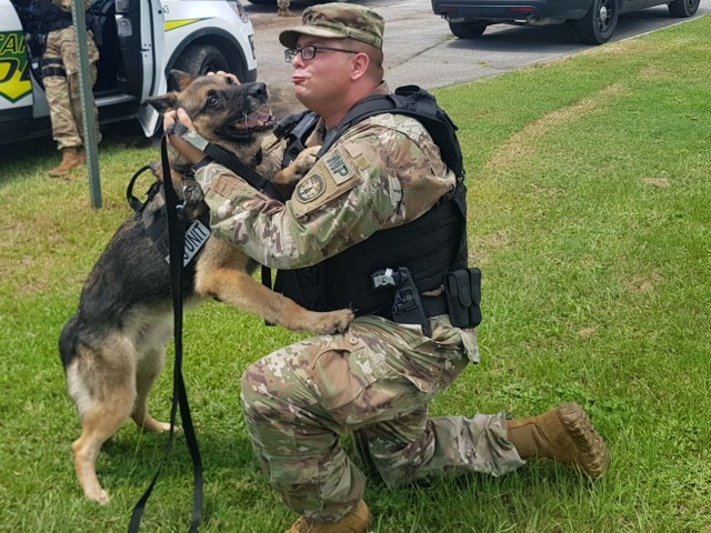 K9s train at Fort Stewart