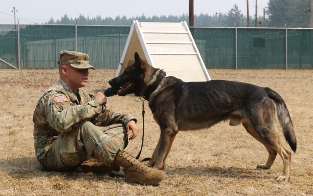Military Working Dog bonds with his handler