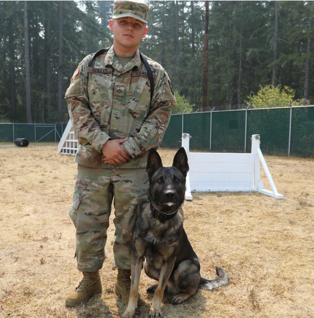 Military Working Dog bonds with his handler