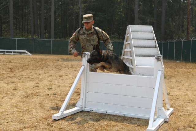 Military Working Dog bonds with his handler