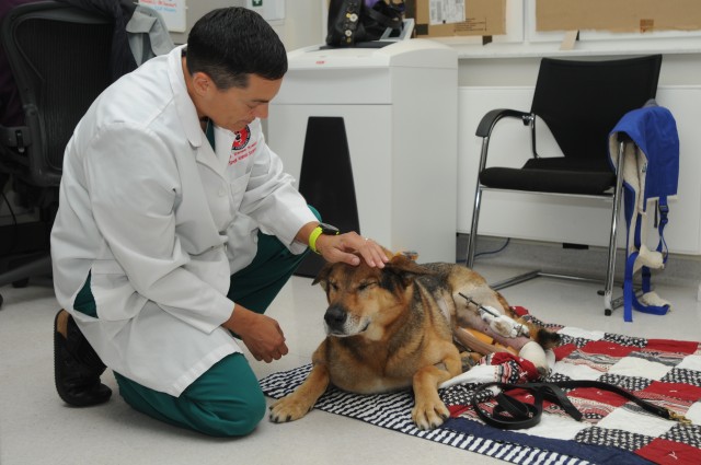 VMCE helps injured MWD get back on his feet
