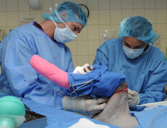 VMCE helps injured MWD get back on his feet