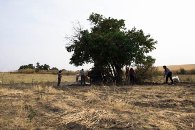 SOWING SEEDS THROUGH SERVICE