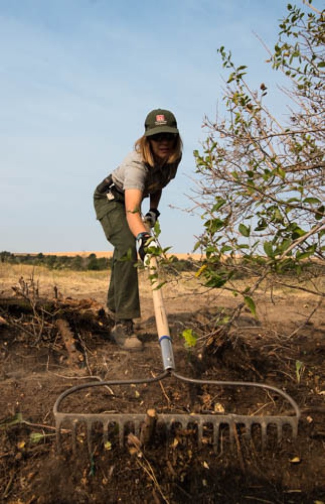 SOWING SEEDS THROUGH SERVICE