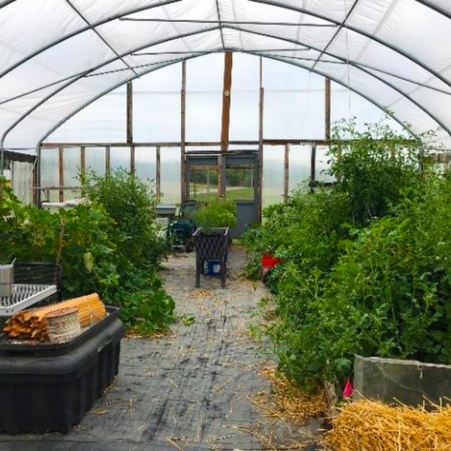 Garden expert supports Soldiers in transition