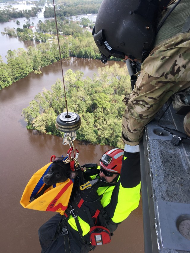 Air rescue