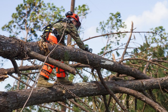 Florida National Guard members providing varied services to residents