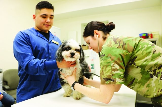 Veterinary treament facility moving to Ederle