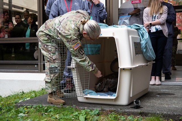 COL Scott coaxing