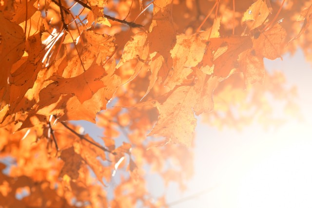 Fall has arrived