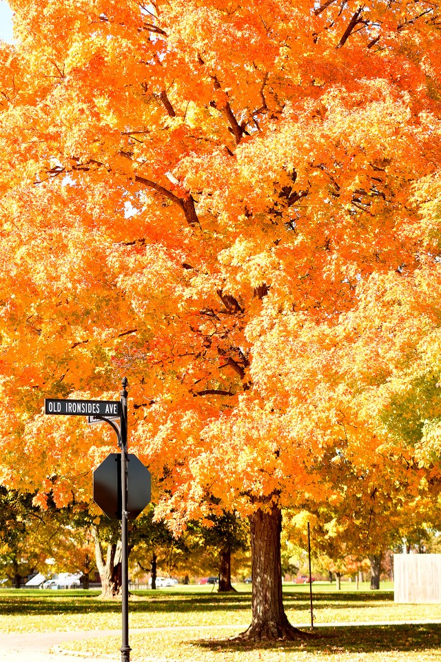 Fall has arrived