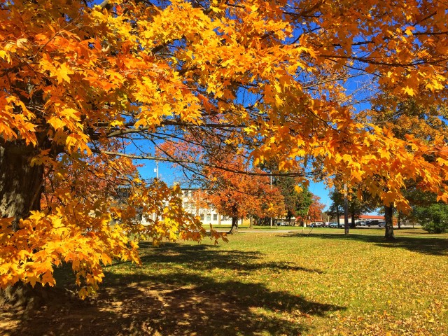 Fall has arrived
