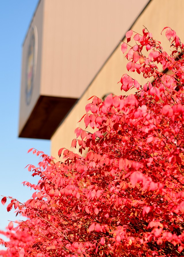 Fall has arrived