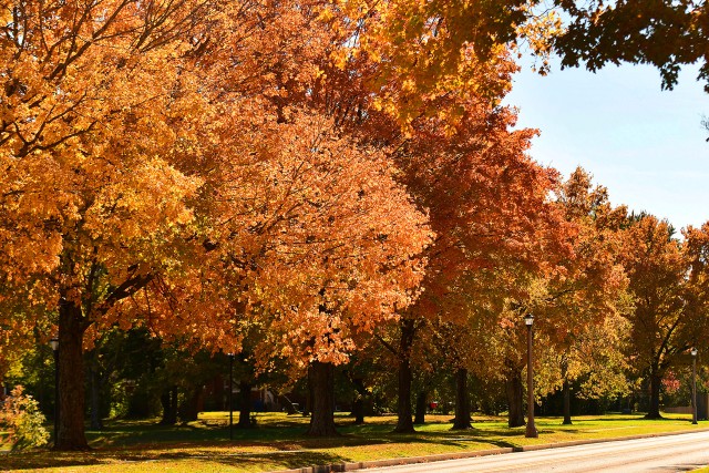 Fall has arrived