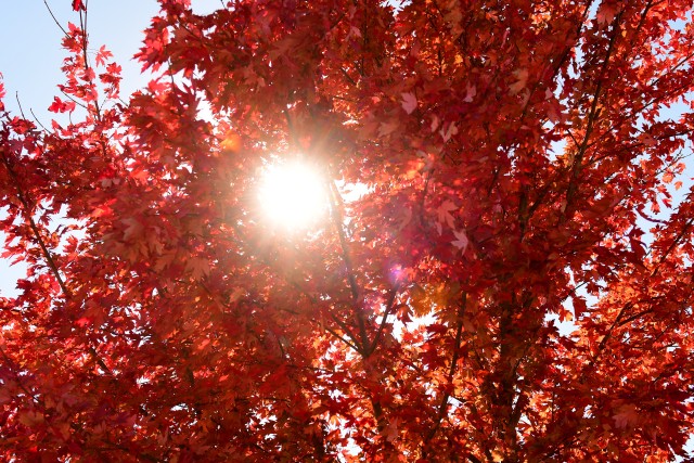 Fall has arrived