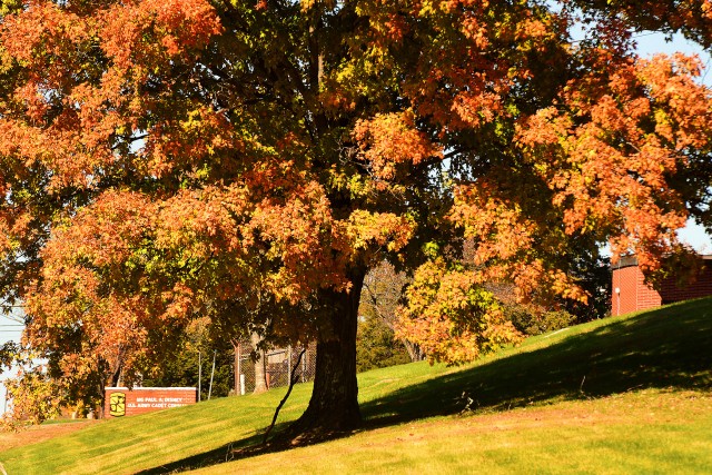 Fall has arrived