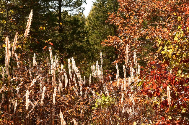 Fall has arrived