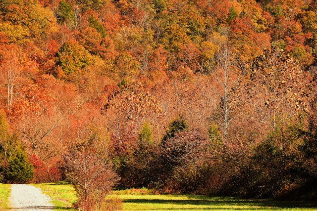 Fall has arrived