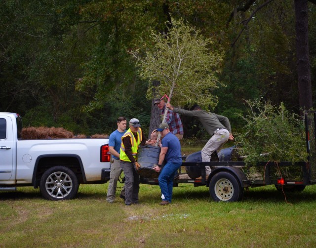 Unloading trees to plant