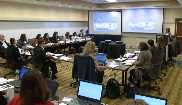 The Breast Cancer Research Program review panel