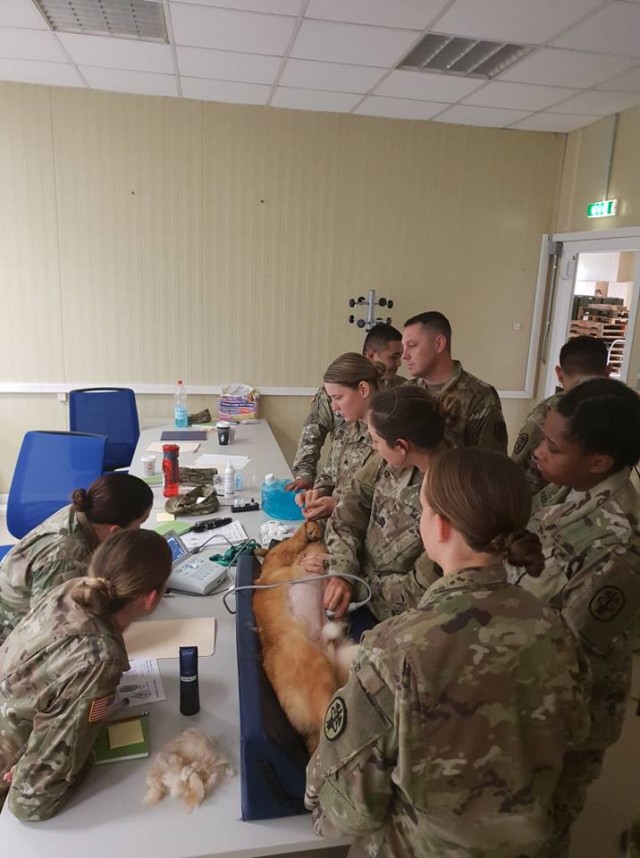 PHA-I animal care specialists brush up on skills