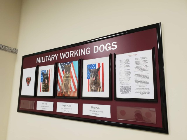 New Veterinary Treatment Facility opens on Caserma Ederle