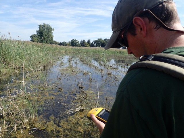 Port Clinton Ecological Restoration: Another Success for GLRI