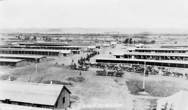 LOOKING BACK A CENTURY: Fort McCoy was new installation during World War I years