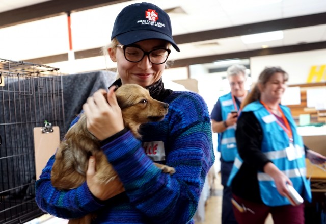 Calif. Guard MPs help Paradise pets, volunteers in shelter