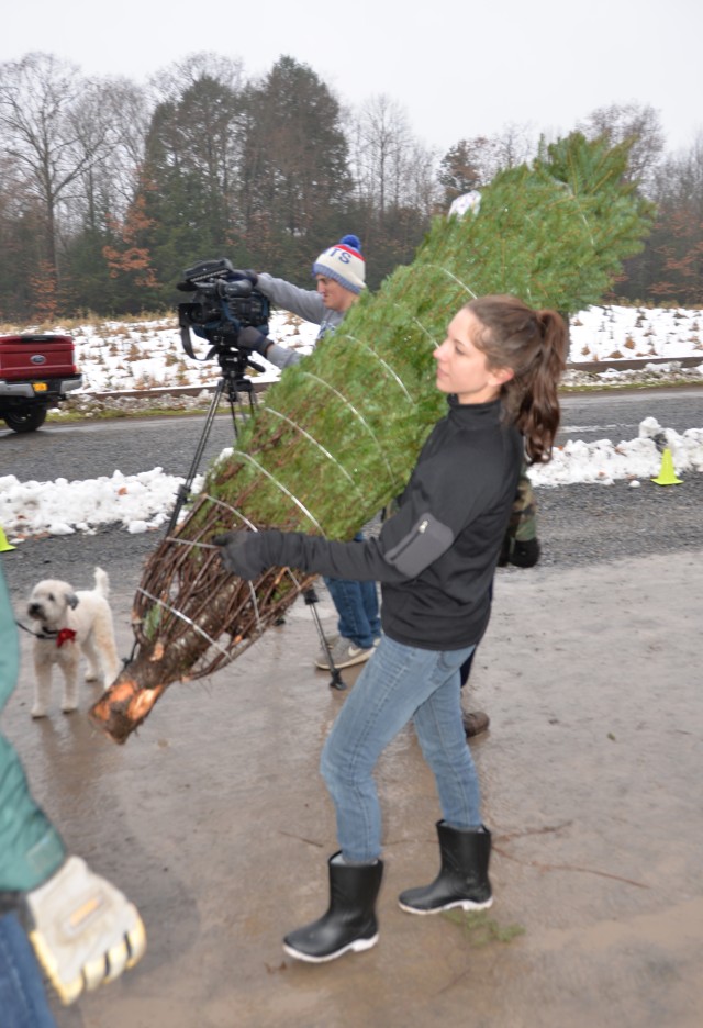 New York Airmen and Soldiers volunteer time to load 'Trees for Troops'