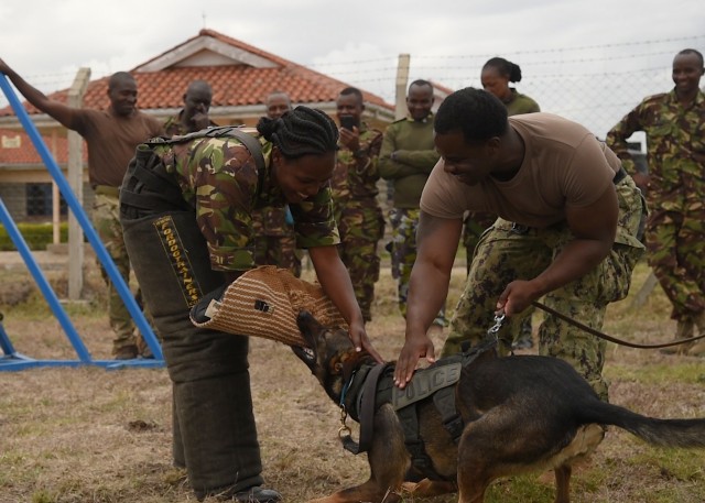 Military Working Dog