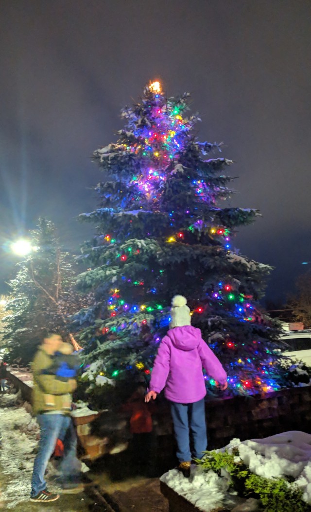 Trees for Troops, annual tree lighting ceremony spreads holiday cheer to Fort Drum community