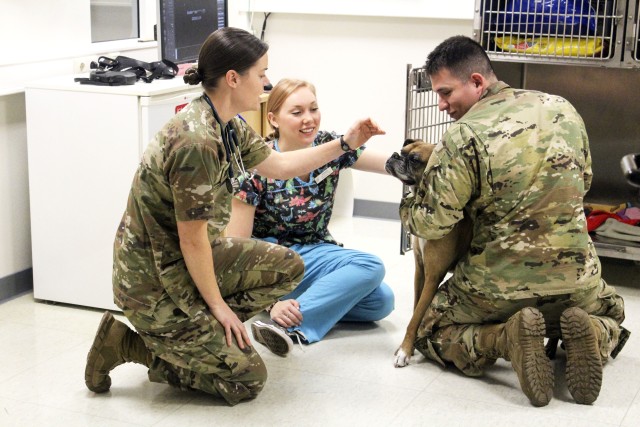 Capt. Kathleen Stewart, officer in charge of the Wiesbaden VTF, Animal Health Assistant Jessica DeShazo and Sgt. enis Aguilar, noncommissioned officer in charge of the Wiesbaden VTF, meet Jaz, a femal
