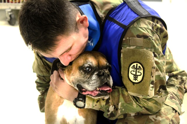 Sgt. Denis Aguilar, noncommissioned officer in charge of the Wiesbaden VTF, taking care of Jaz, a female boxer.