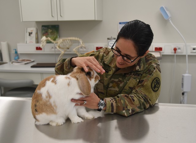 Chi&egrave;vres Veterinary Clinic Grand Opening, Nov. 29, 2018